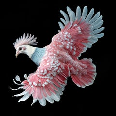 VICTORIA CROWNED PIGEON 3, Digital sobre papel