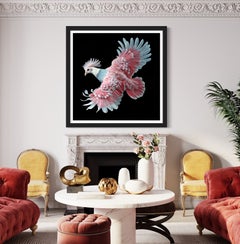 VICTORIA CROWNED PIGEON 3, Digital sobre papel