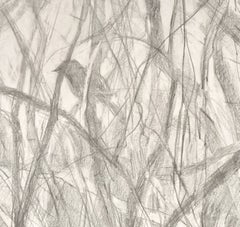 «Pájaros en el seto», dibujo, lápiz y lápices de colores sobre papel