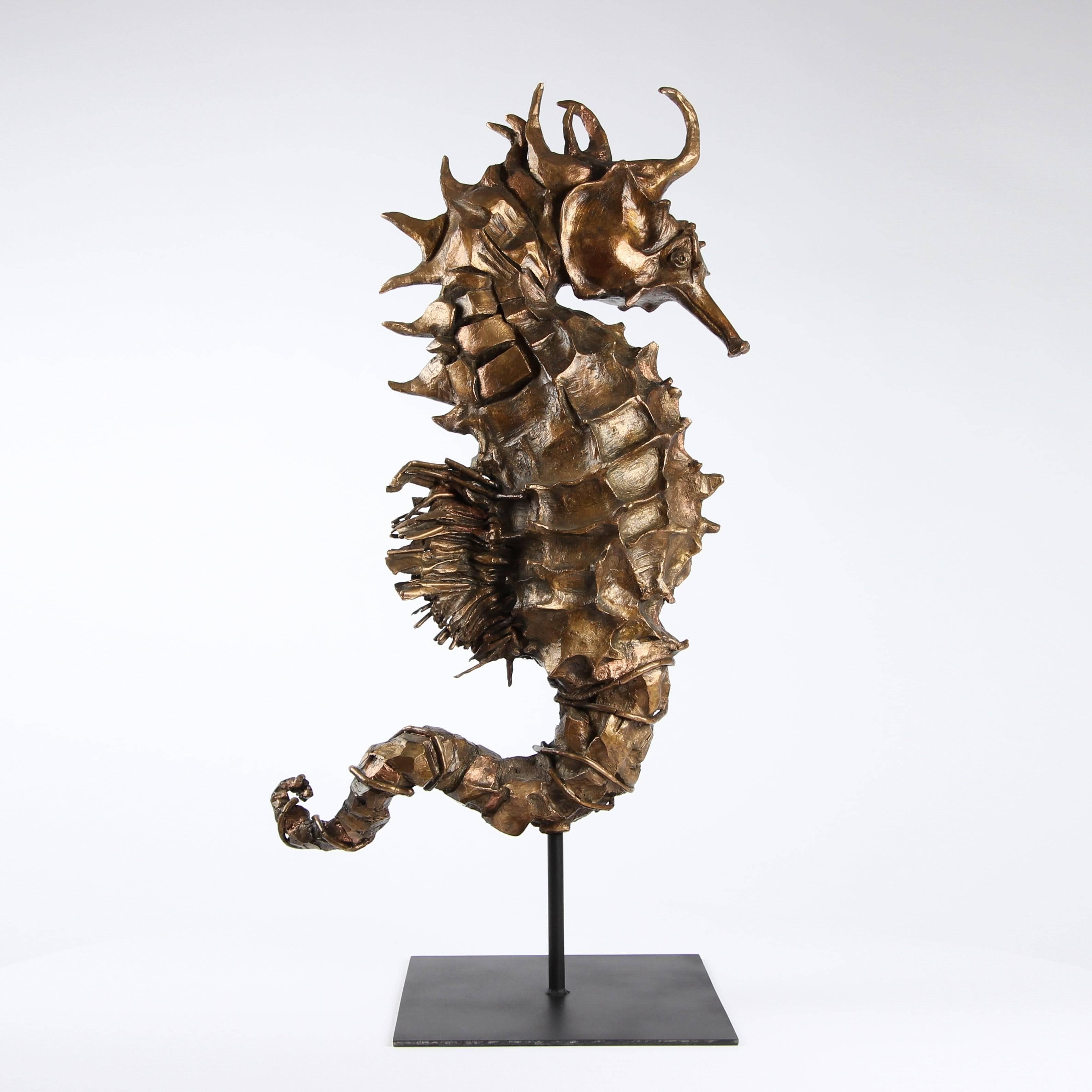 Seahorse Rex Gold is a 1-meter high bronze sculpture by French contemporary artist Chésade. This one-off sculpture is representative of the sculptor's interest in the marine world. 103 cm × 55 cm × 22 cm.
The graceful and suspended “Seahorse” is