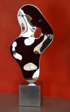 Ectoplasm III de Franck K - Sculpture en acier inoxydable, reflets, perception