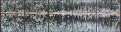 Foresta speculare profonda 007 di Bernhard Lang - Fotografia di paesaggio, alberi, innevamento