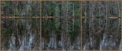 Deep Mirroring Forest 013 by Bernhard Lang - Landscape photography, trees, green
