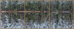 Deep Mirroring Forest 001 by Bernhard Lang - Landscape photography, trees, green