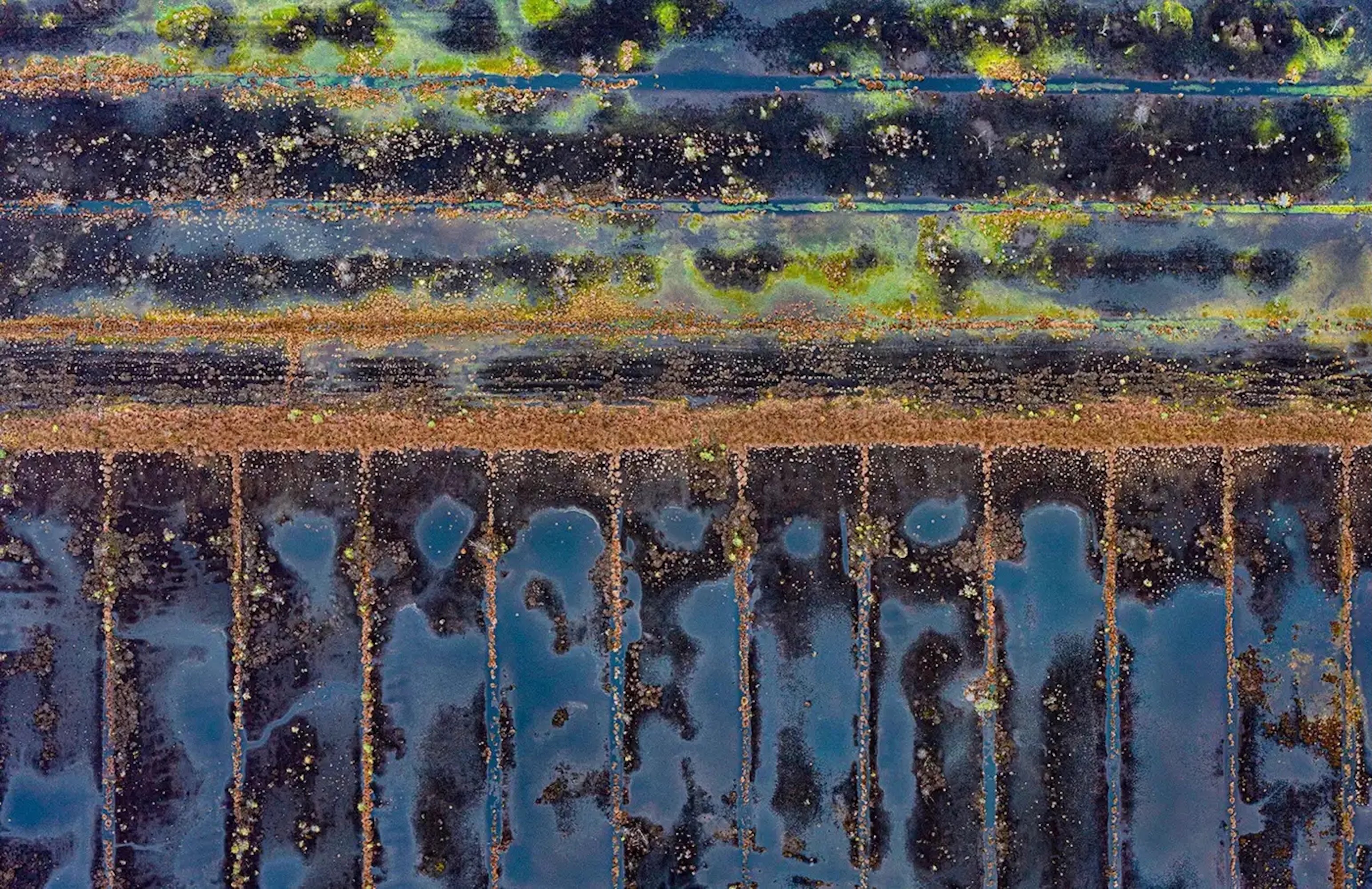 La Ciénaga Renaturalizada 006 de Bernhard Lang - Fotografía abstracta aérea, azul