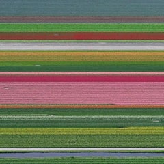 Tulip Fields 14 by Bernhard Lang - Aerial abstract photography, Netherlands