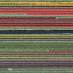 Tulpenfelder 37 von Bernhard Lang - Abstrakte Luftbildfotografie, Blumen, Vivid