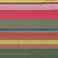 Tulpenfelder 36 von Bernhard Lang - Abstrakte Luftbildfotografie, Blumen, Vivid