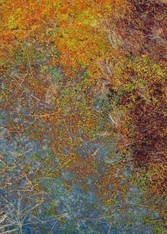 The Bog Plants 002 par Bernhard Lang - Photographie en gros plan, tons orangés, flore