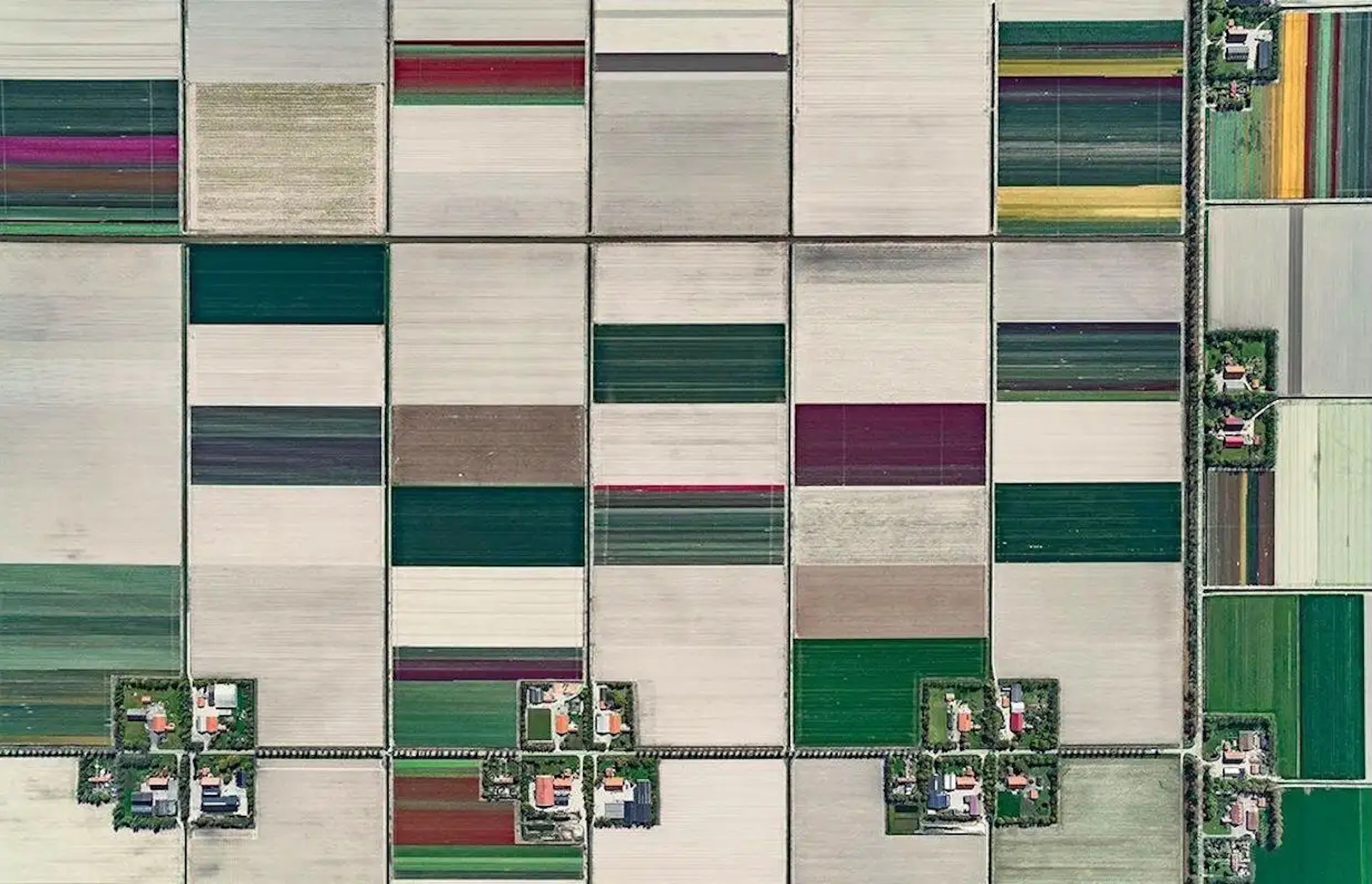 Tulip Fields 01 von Bernhard Lang – abstrakte Luftaufnahmen, Niederlande