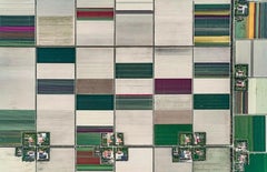 Tulip Fields 01 by Bernhard Lang - Aerial abstract photography, Netherlands