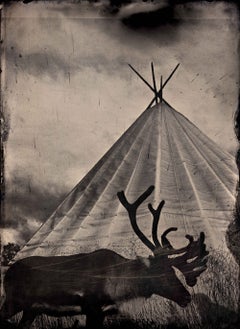 „Lavo“ und „Caribou“ von Christian Houge – Zeitgenössische Fotografie, das Volk der Sámi