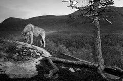 Untitled 23, Shadow Within, Norwegen/USA von Christian Houge - Foto, schwarz-weiß