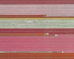 Tulip Fields 05 (Netherlands), Aerial abstract photography