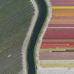 Tulip Fields 27 (Netherlands) by Bernhard Lang - Aerial abstract photography