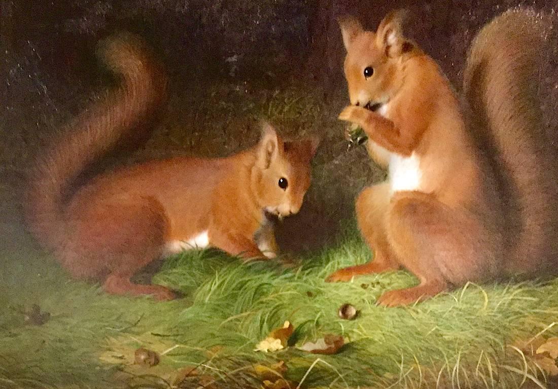 Red Squirrels An English Victorian Animal Painting by Abel Hold 19th Century 2