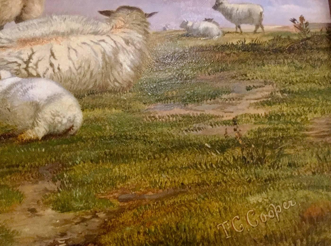 Sheep in a Landscape An English Scene Victorian 19th Century by T G Cooper  - Naturalistic Painting by Thomas George Cooper