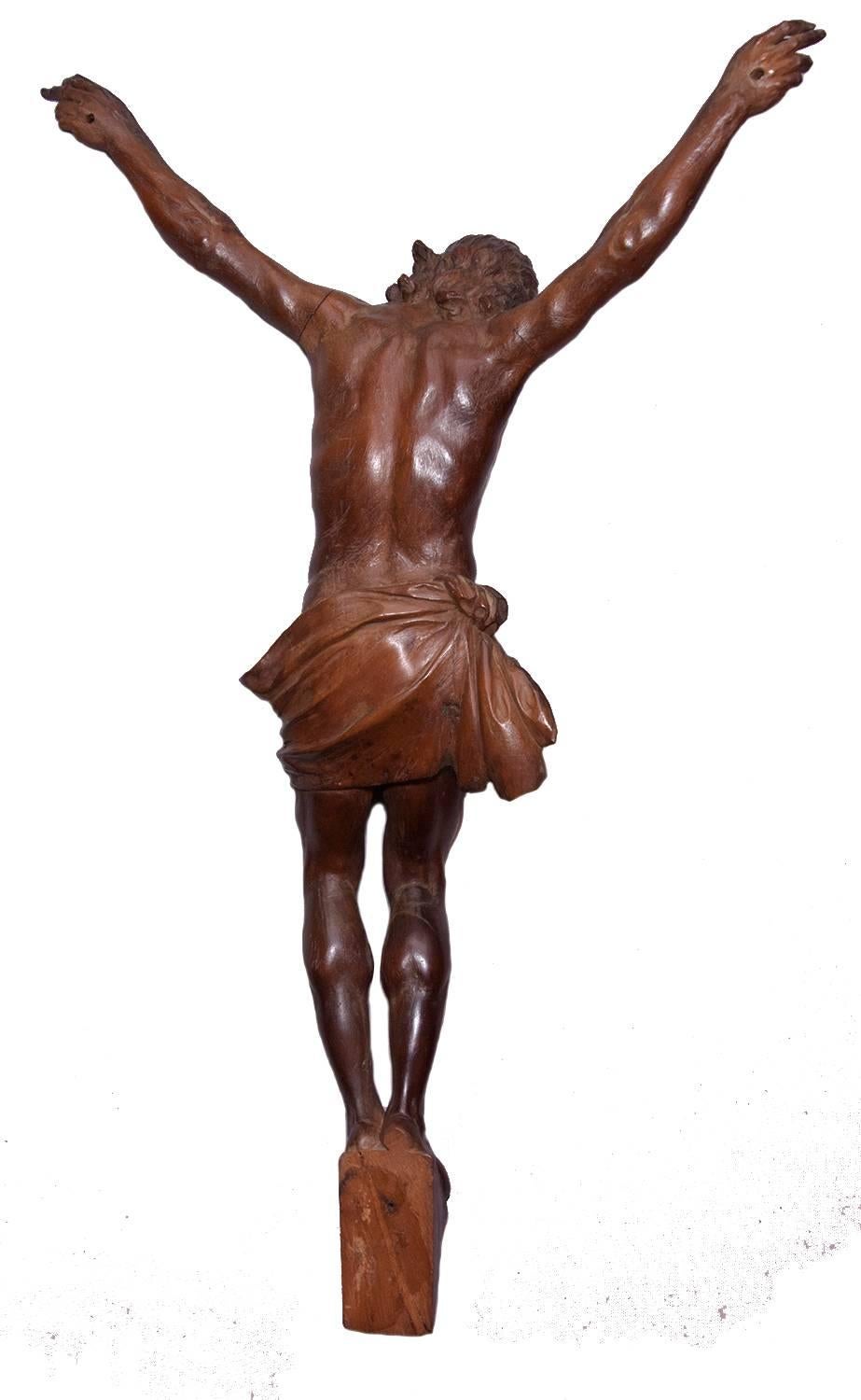 Large fruitwood Christ corpus, early 18th century - Baroque Sculpture by Unknown