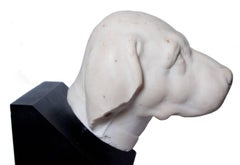 White marble head of a dog