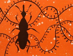 Grain Weevil -- Print, Lithograph, Animal by Yinka Shonibare