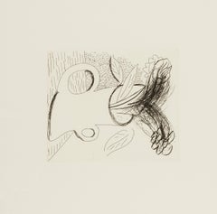 Ohne Titel (Flowers in doppel Henkelvase) -- Druck, Radierung, von David Hockney