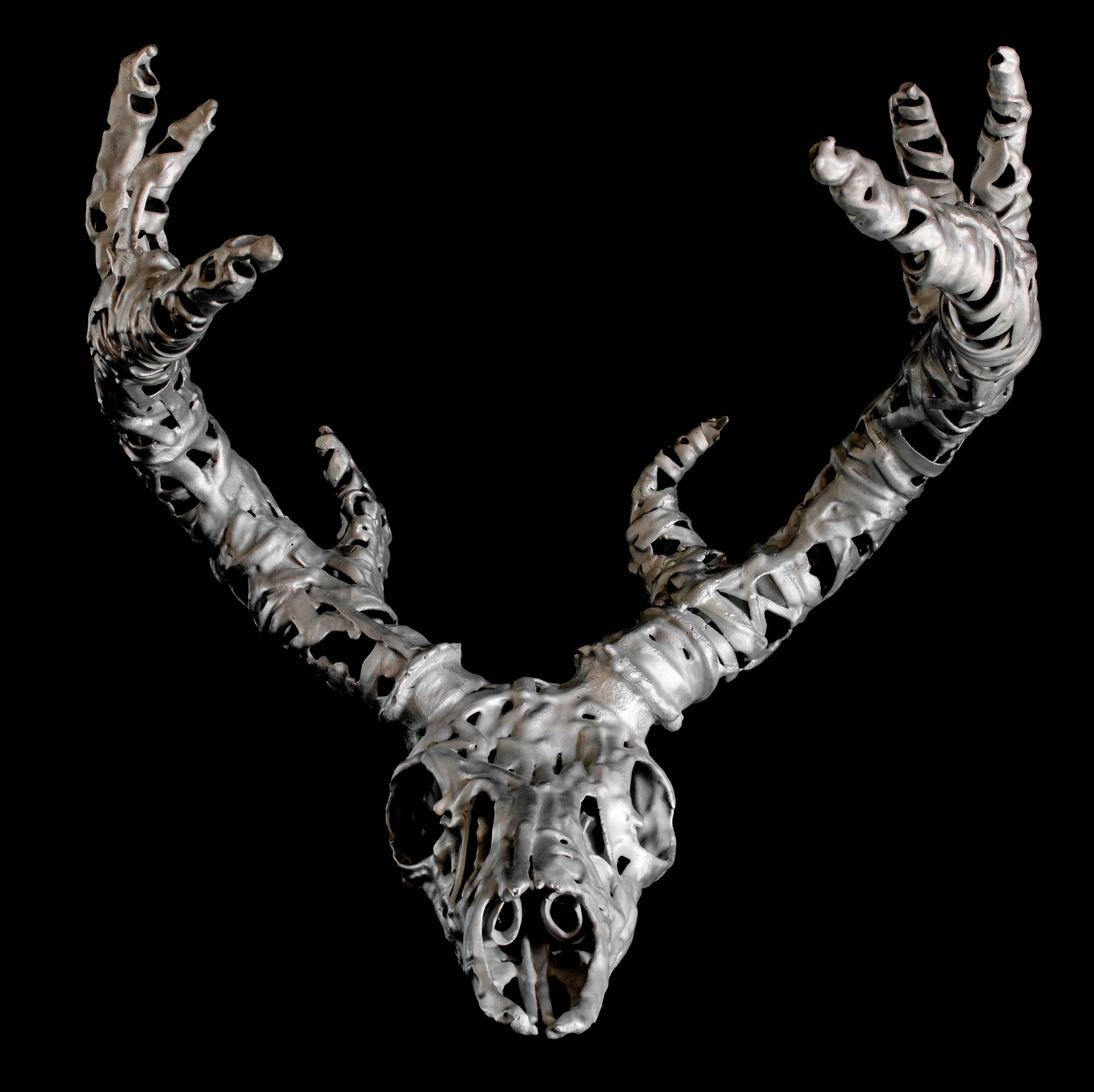 Marcus Jones Figurative Sculpture - Trophy, cast aluminium deer skull sculpture 