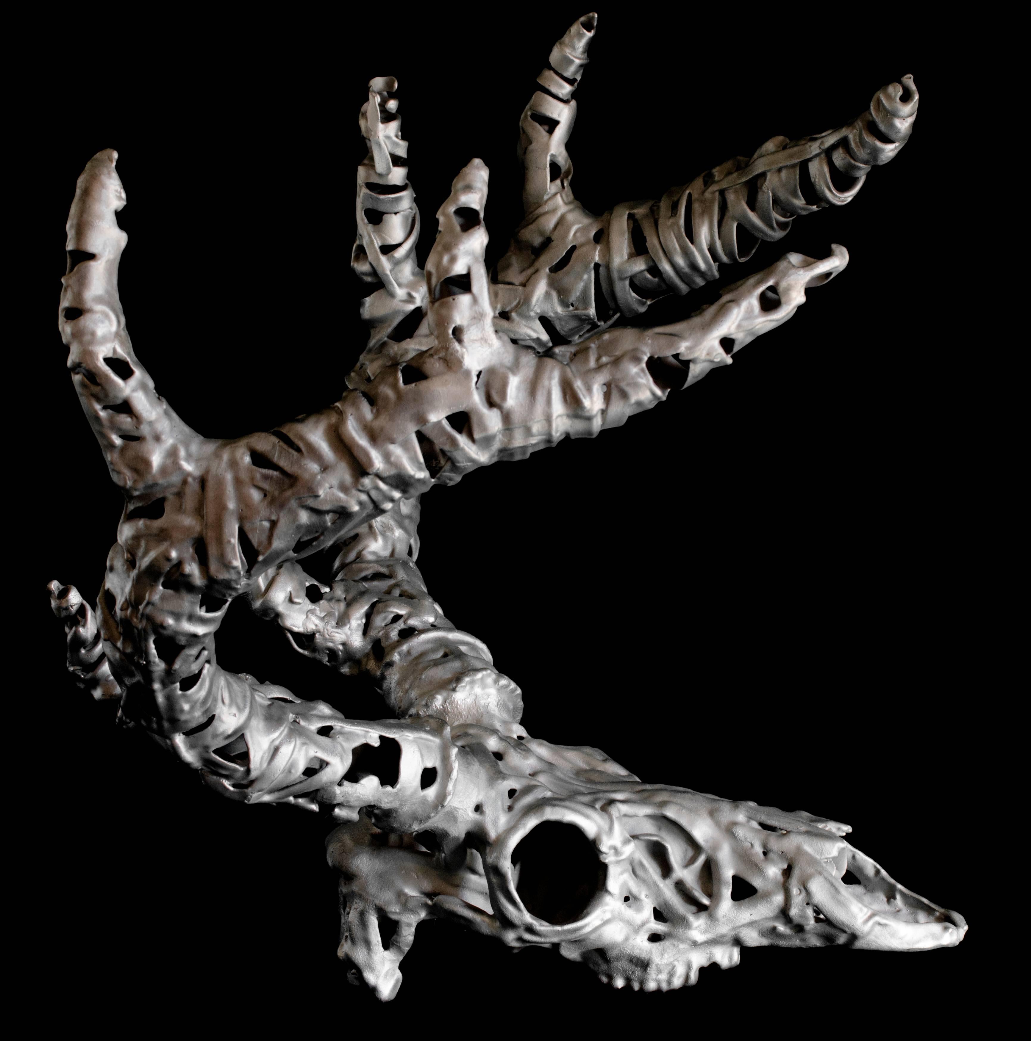 Trophy, cast aluminium deer skull sculpture  - Sculpture by Marcus Jones