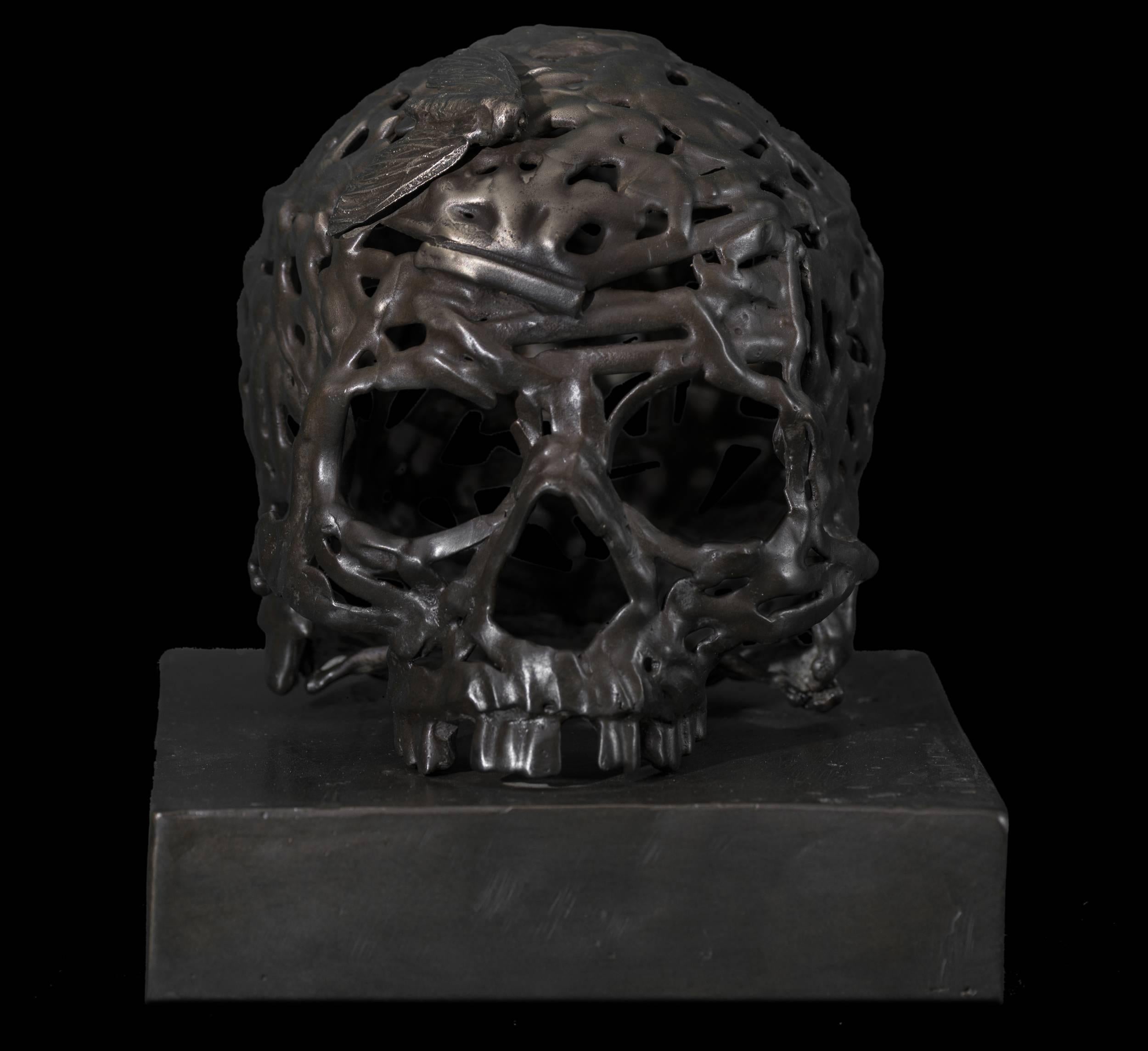 Marcus Jones Abstract Sculpture - Light of the Moon, cast bronze skull sculpture