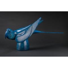 Macaw 12