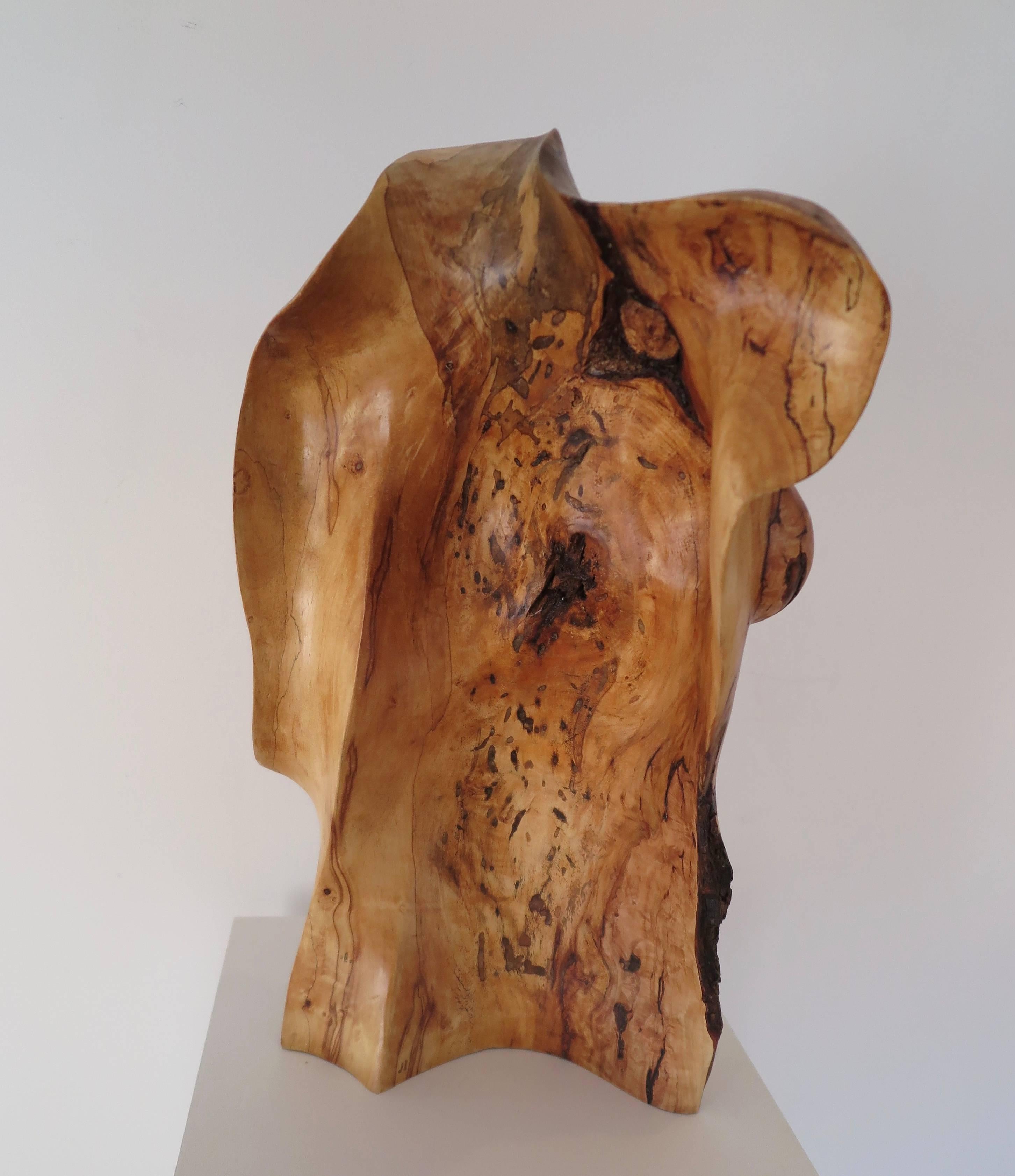 Taio, Figurative Wood Sculpture For Sale 2