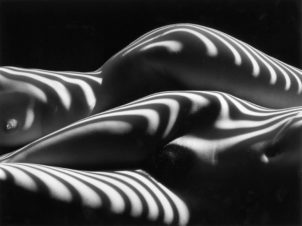 Lucien Clergue Nude Photograph - Deux Nu Zebres, New York, black and white photo of two nude female torsos 