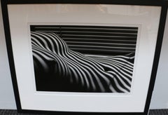 Nu Zebre, New York, black and white vintage print of nude female torso