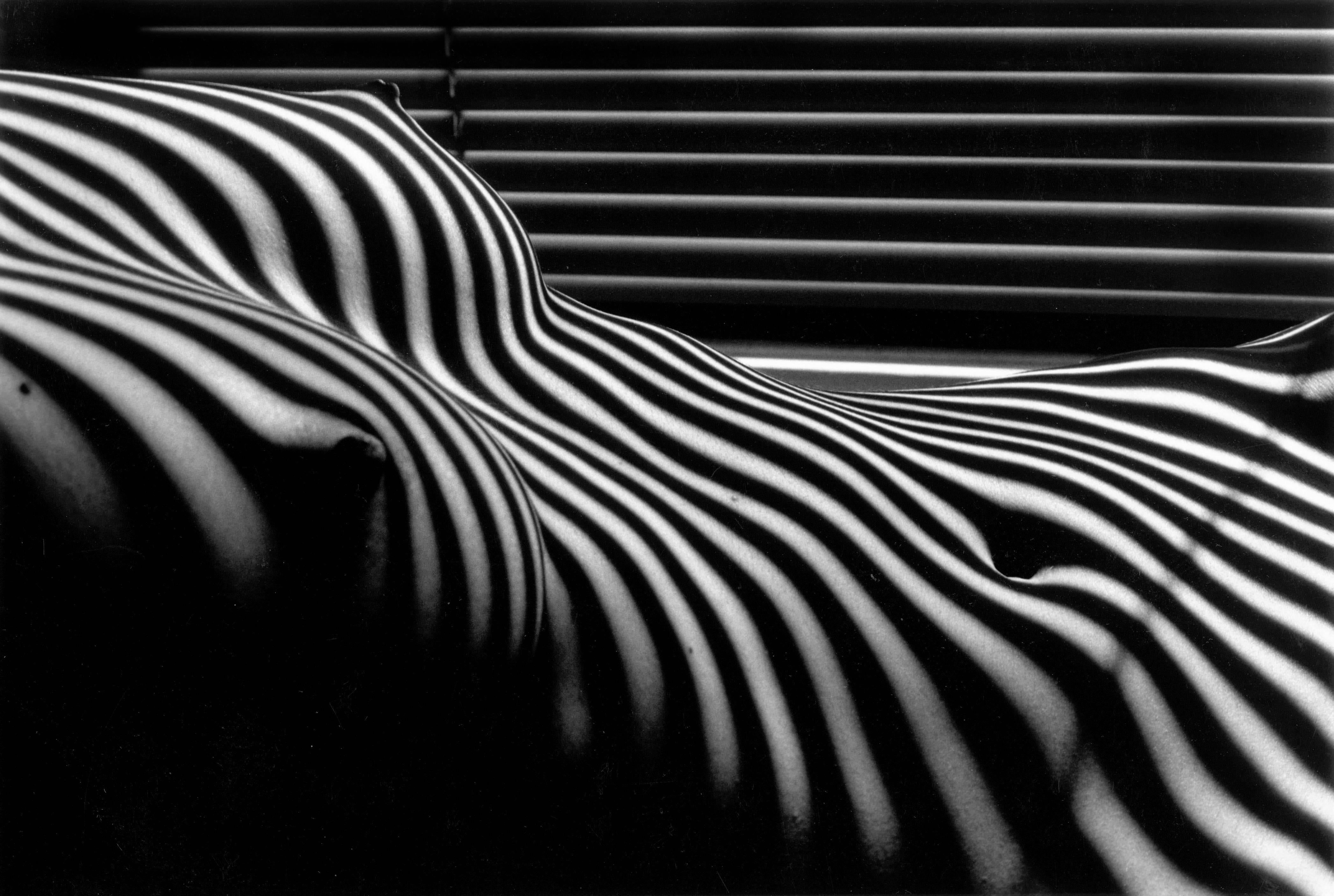 Lucien Clergue Black and White Photograph - Nu Zebre, New York, black and white vintage print of nude female torso 