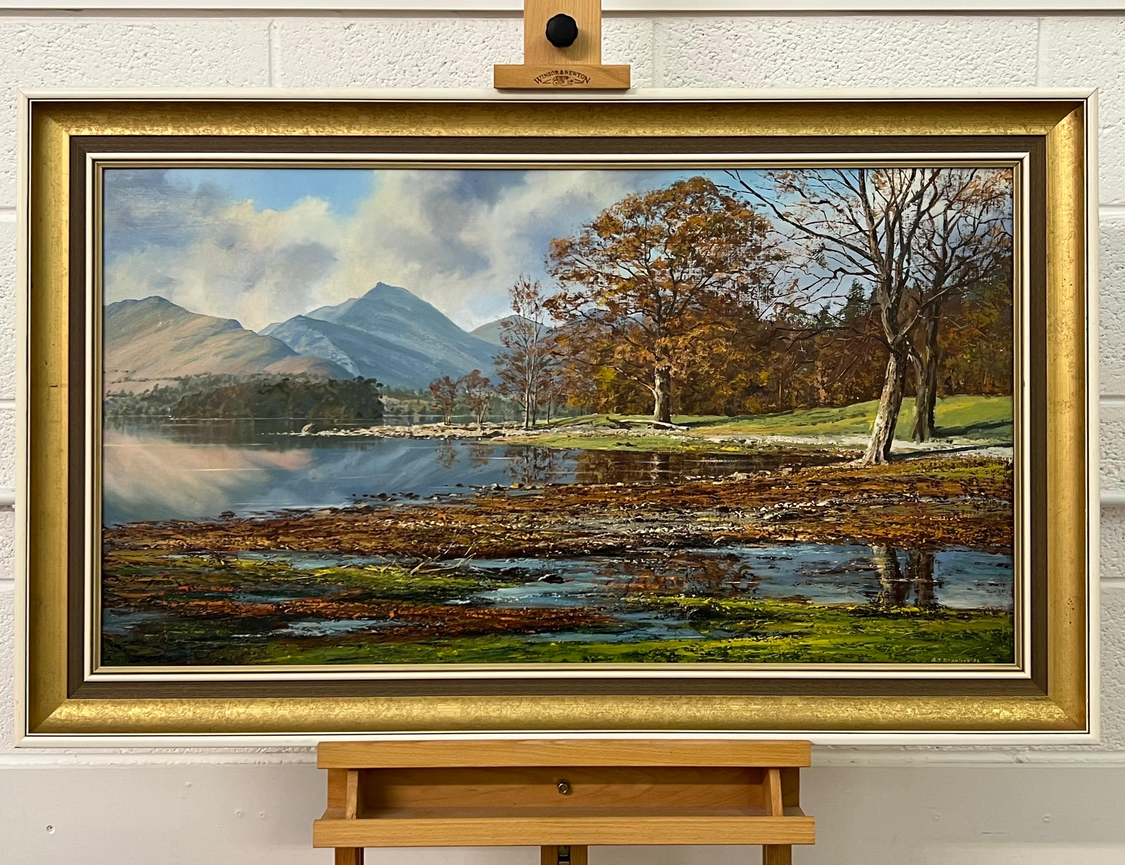 L'acqua di Derwent nel Lake District inglese, opera dell'artista di paesaggi Modern British 3