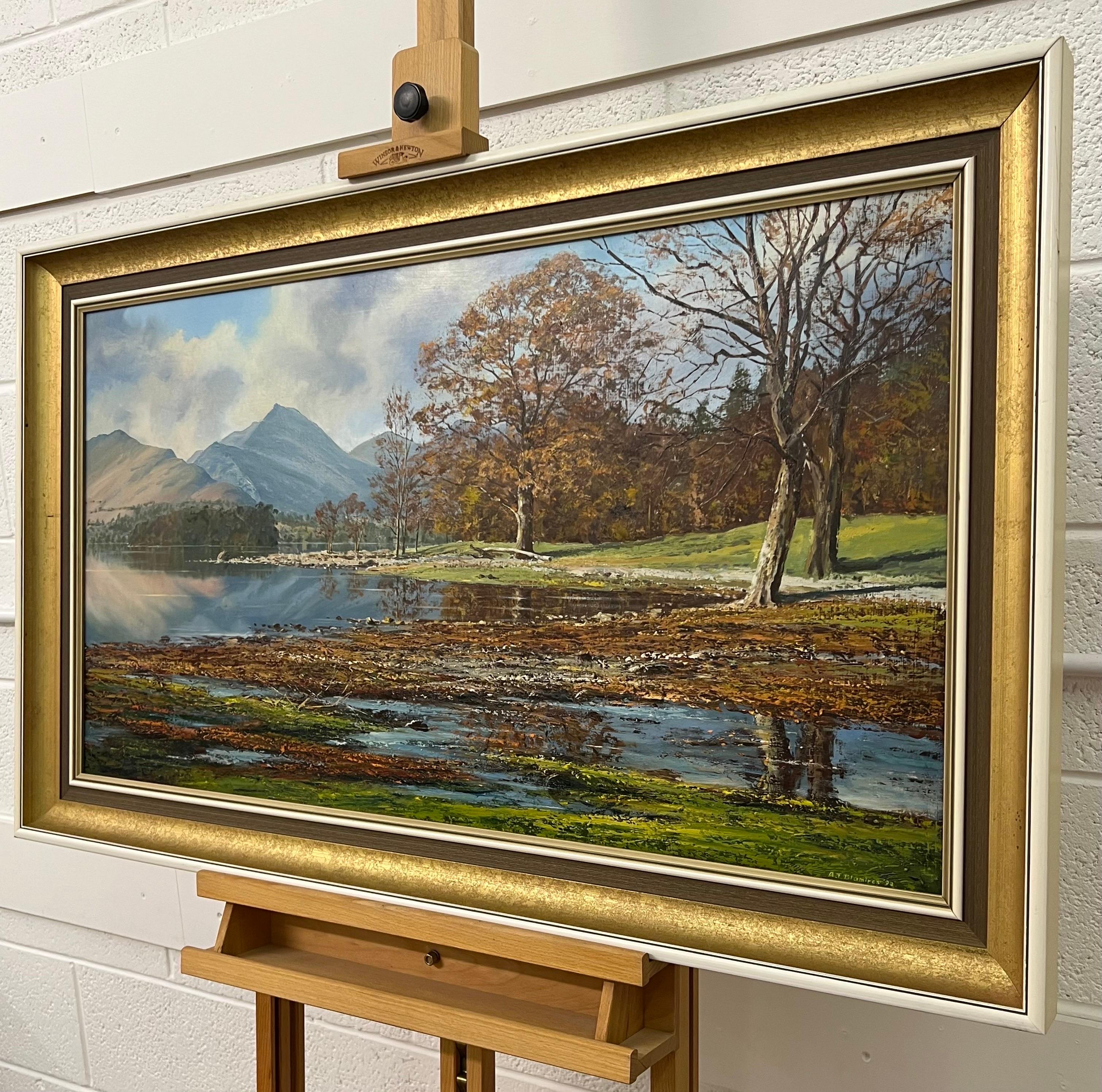 L'acqua di Derwent nel Lake District inglese, opera dell'artista di paesaggi Modern British 4