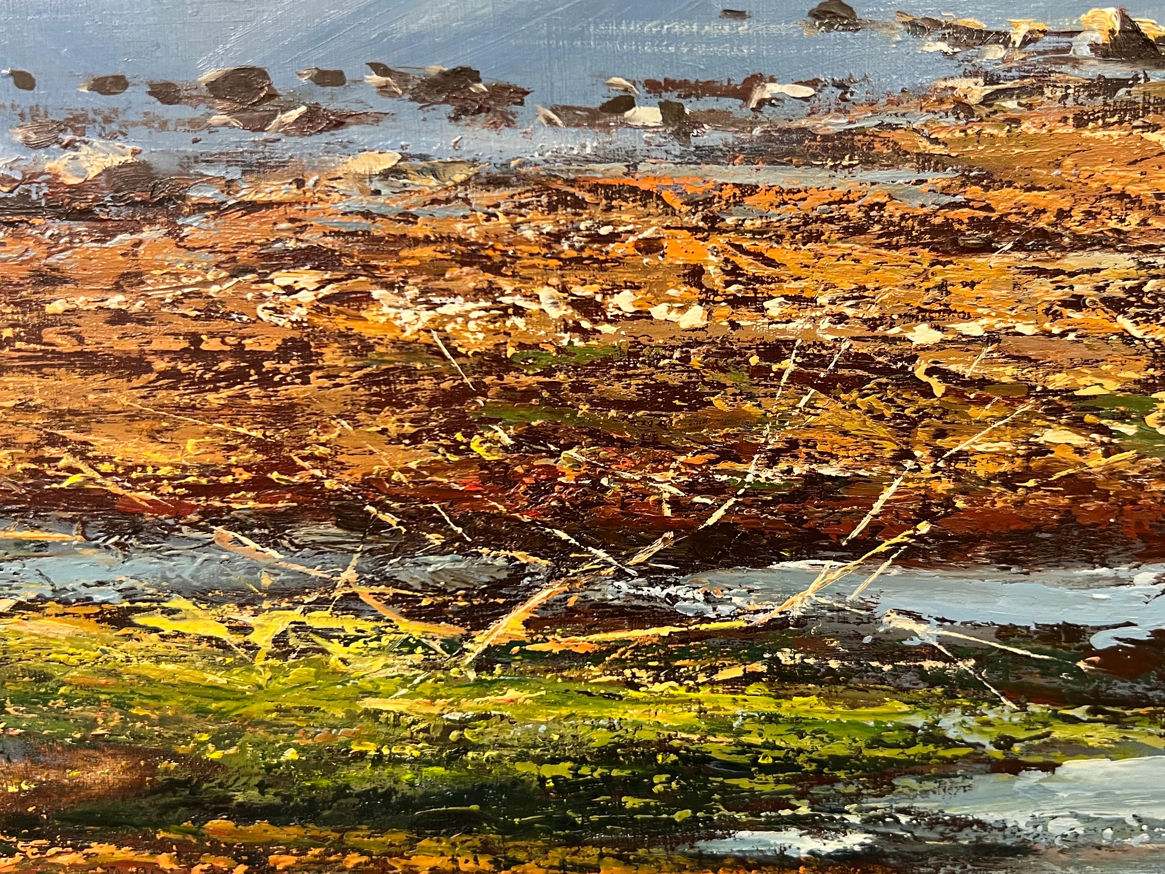 L'acqua di Derwent nel Lake District inglese, opera dell'artista di paesaggi Modern British 13