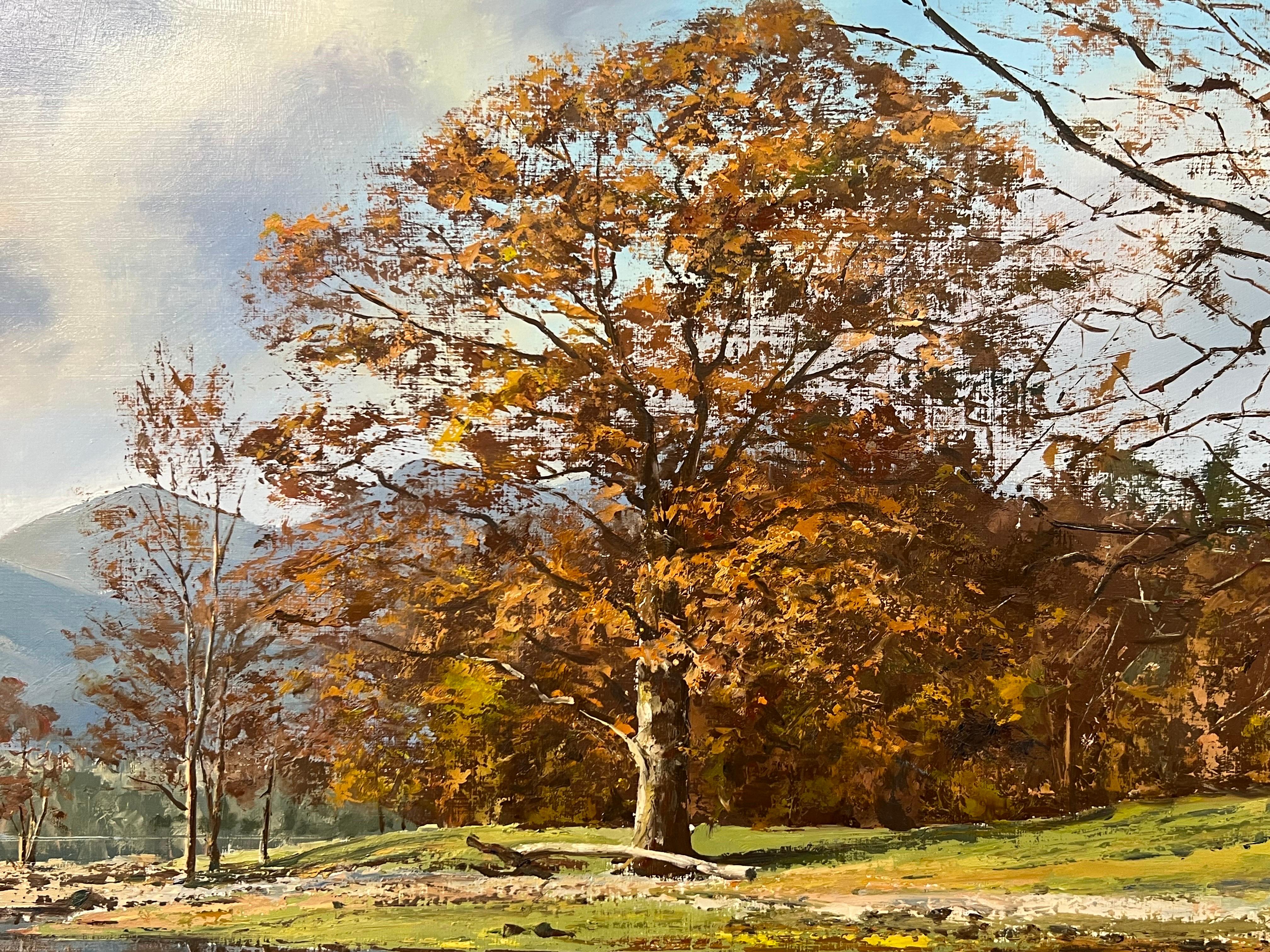 L'acqua di Derwent nel Lake District inglese, opera dell'artista di paesaggi Modern British 14