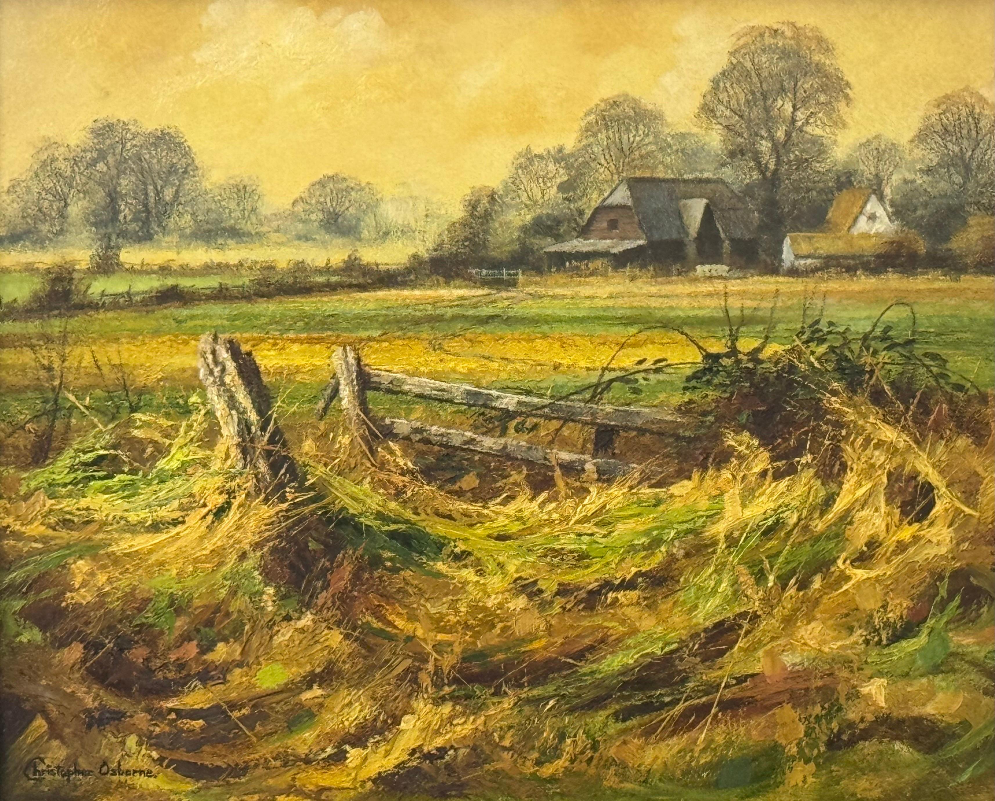 Granja en la campiña inglesa con cálidos colores marrón dorado y verde exuberante en venta 5