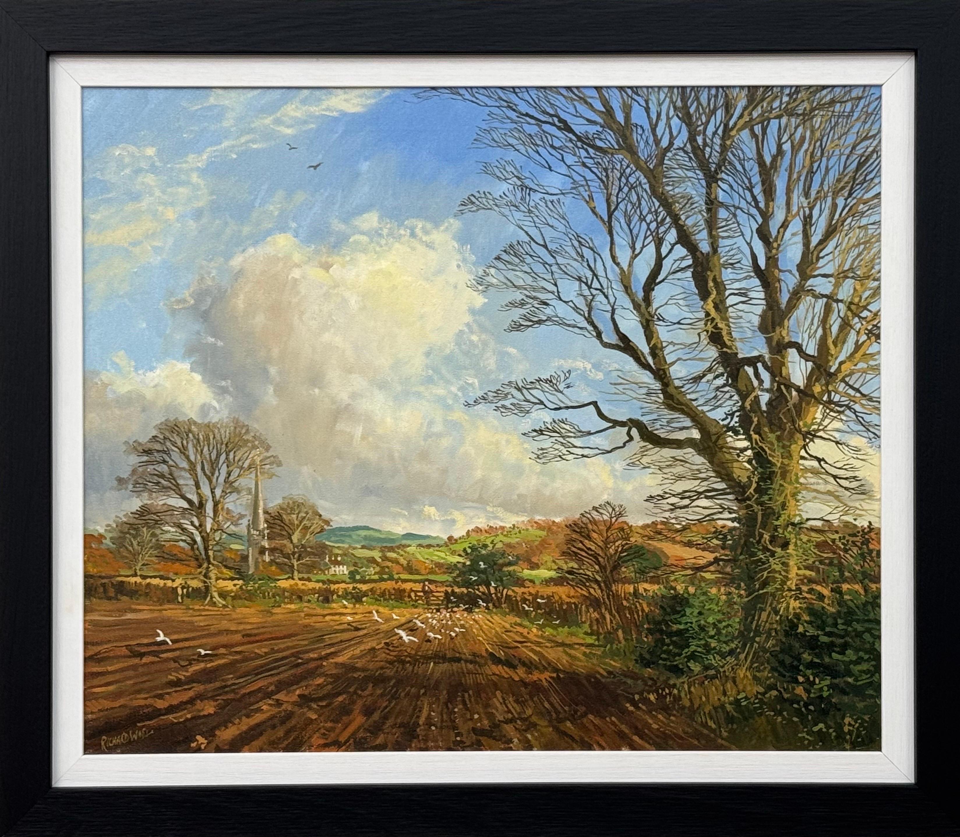 Winter landscape with Seagulls on ploughed fields in the English Countryside