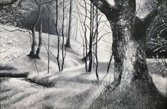 Landscape Painting of an English Woodland Forest by British Contemporary Artist