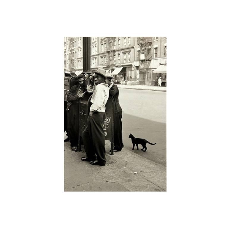Harlem Boys with a Black Cat - Photograph by Helen Levitt