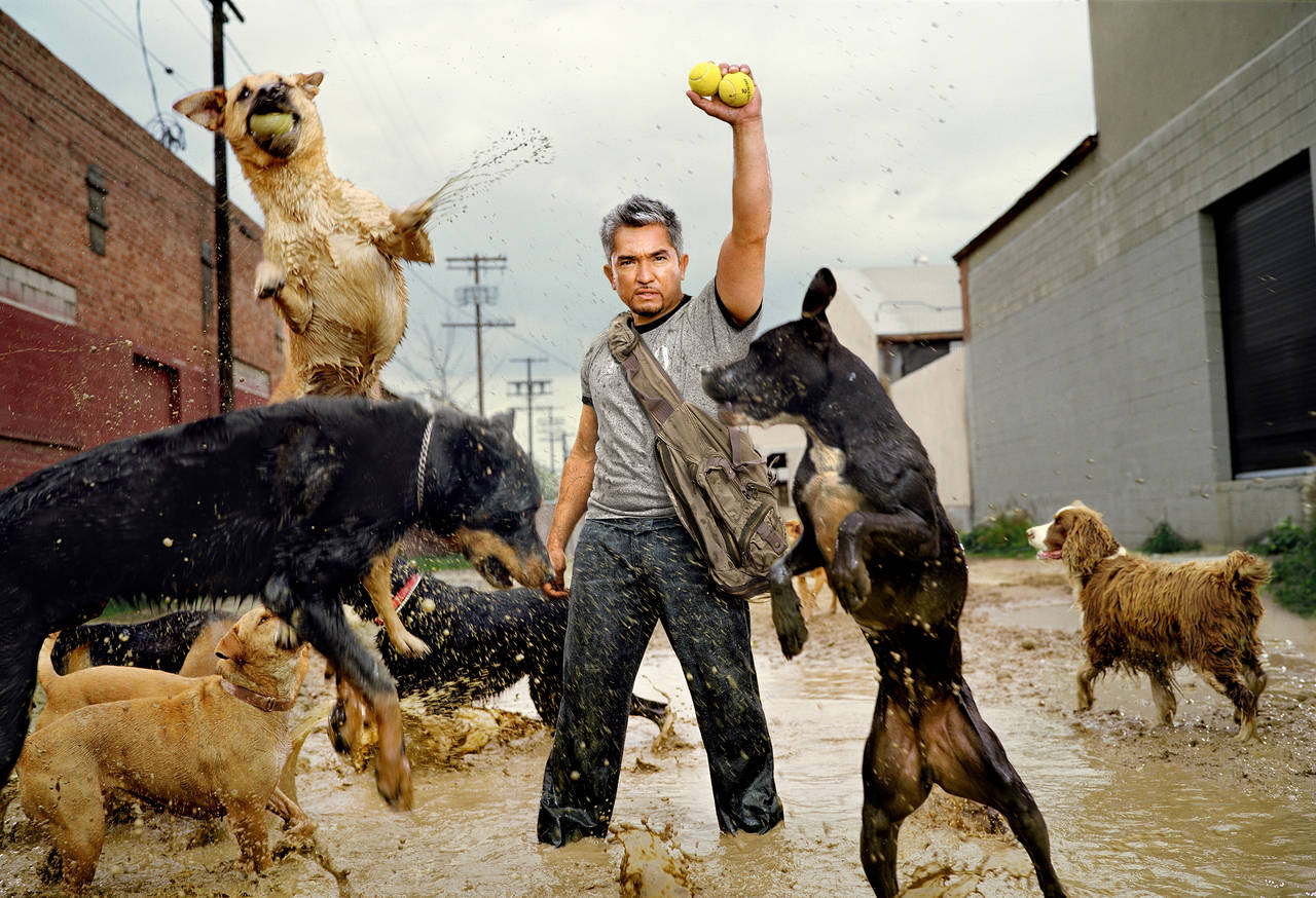 Martin Schoeller Portrait Photograph - Cesar Millan with his Dogs, South Central Los Angeles, CA