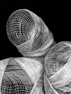 Untitled (Drawing Appendages Series)