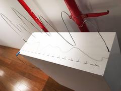 Measures of Intelligence Interactive