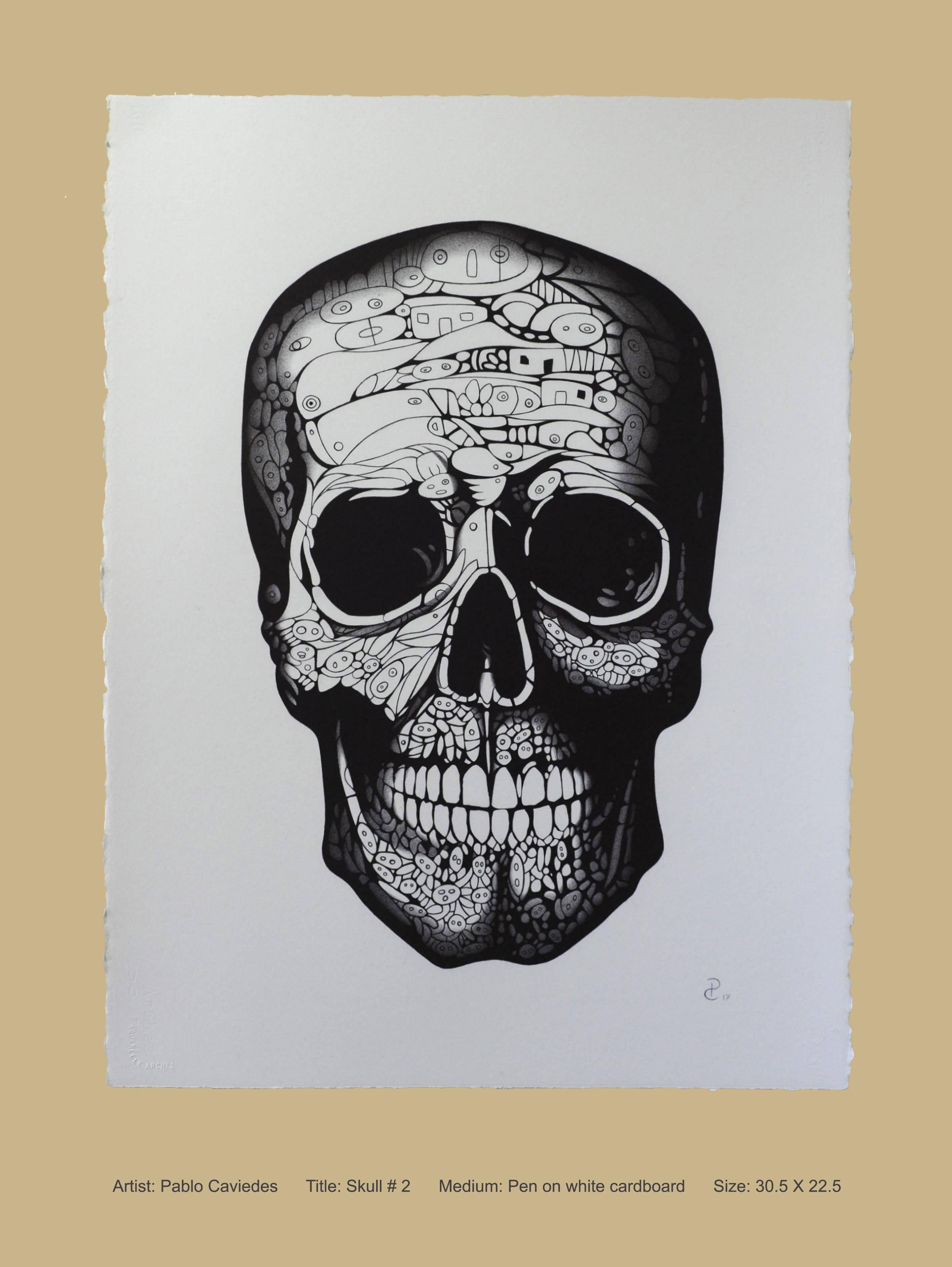 skull pen drawing