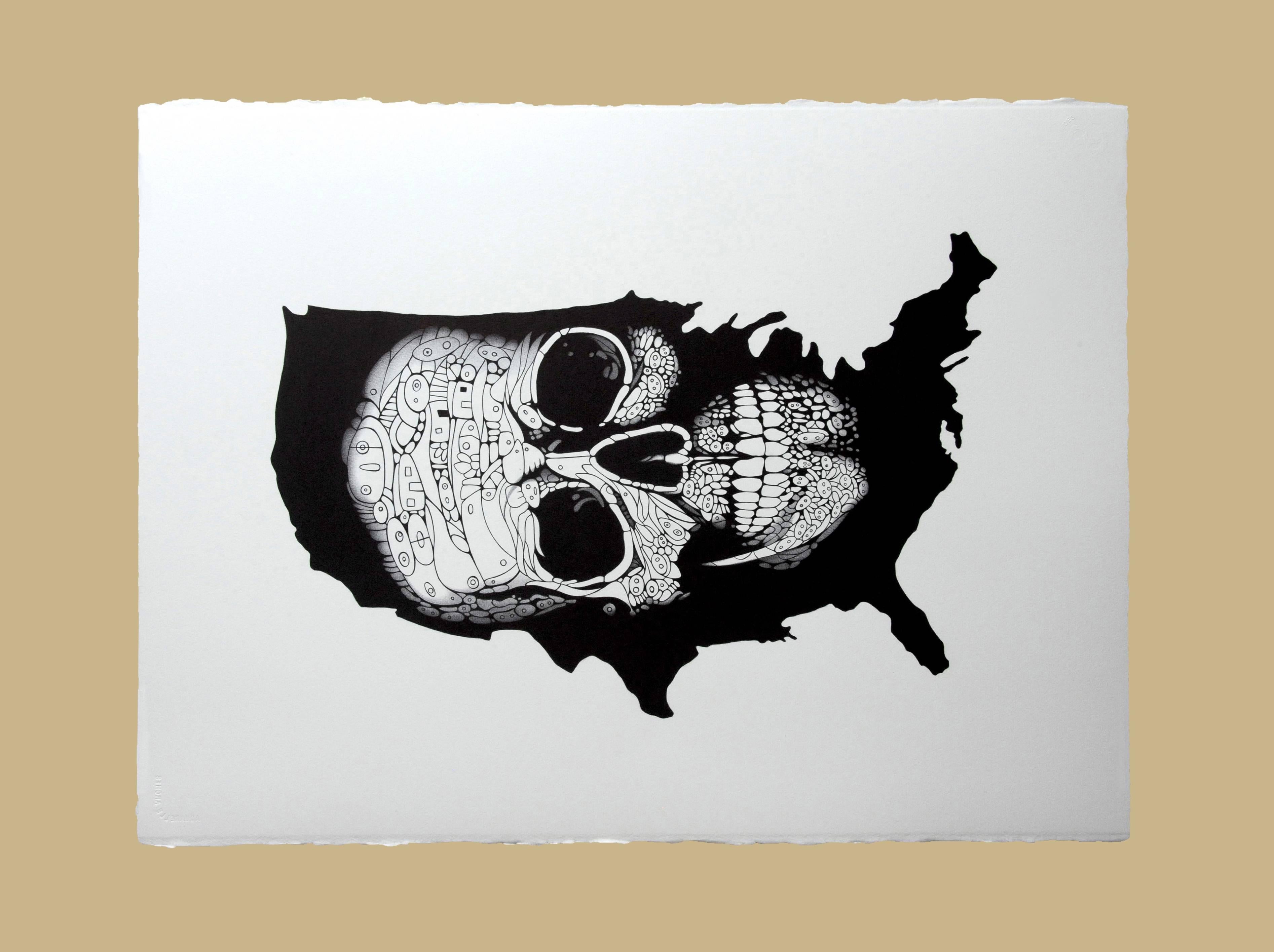 skull art drawings