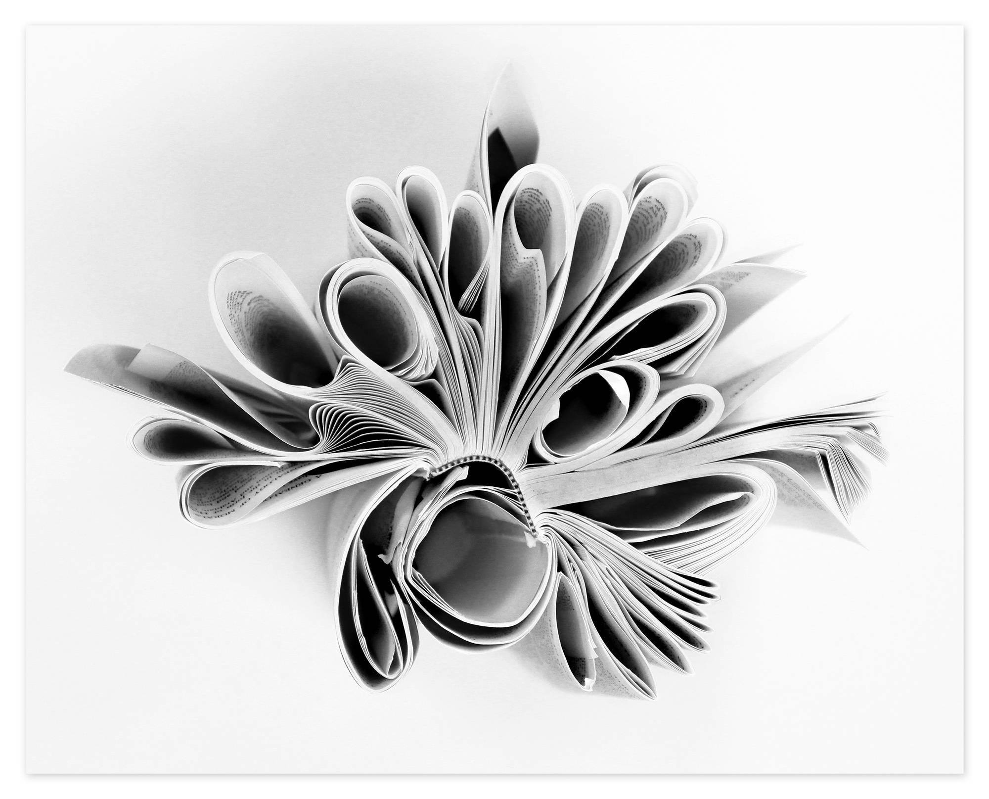 Alex Vignoli Black and White Photograph - Peacock's Show (Photo, Limited Edition Print, #5 of 25, Black & White)