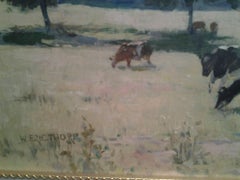 Young Calves out to grass Arundel Castle in background