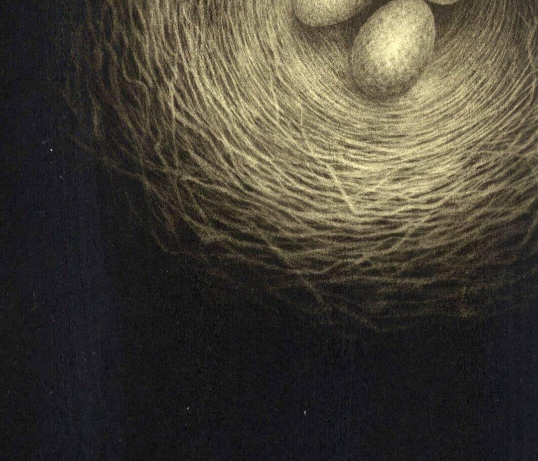 Nest (dramatic aerial view of three eggs in an untended nest) - Modern Print by Erling Valtyrson