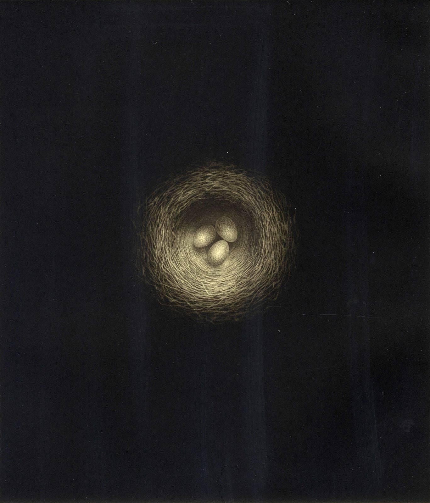 Erling Valtyrson Landscape Print - Nest (dramatic aerial view of three eggs in an untended nest)